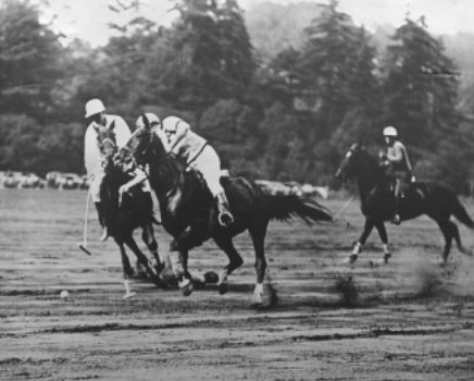 Historical Image of Polo Grounds